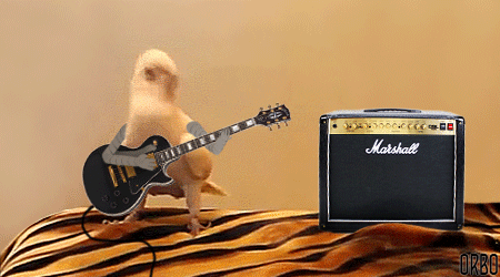 Birds With Arms (20 gifs)