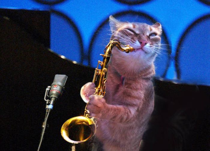 Funny Photoshops (30 pics)
