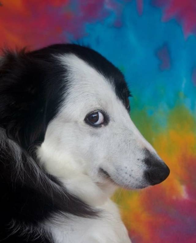Funny Photoshops (30 pics)
