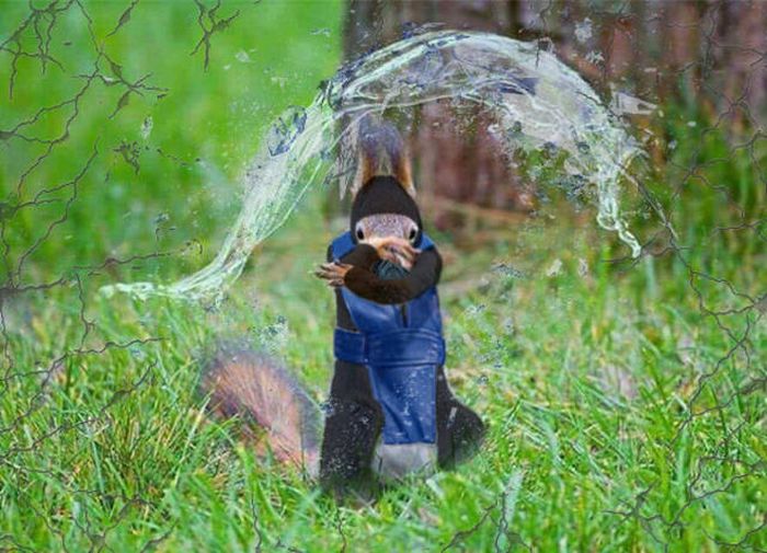 Funny Photoshops (30 pics)
