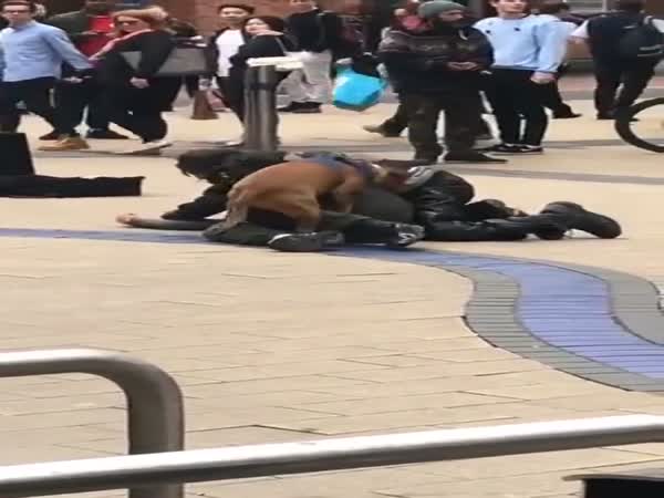 Dog Has His Own 2 Cents In A Drunk Fight