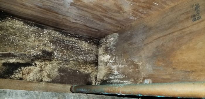 Homeowner Discovers How Bad His Home's Foundation Actually Is (10 pics)