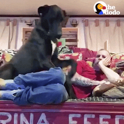 Acid Gifdump, May 04, 2018 (25 gifs)