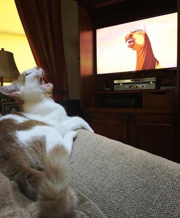 Acid Picdump (92 pics)