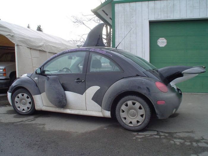 Acid Picdump (92 pics)