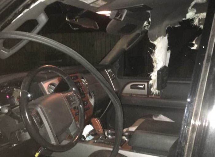 A Bear Demolish A Car (4 pics)