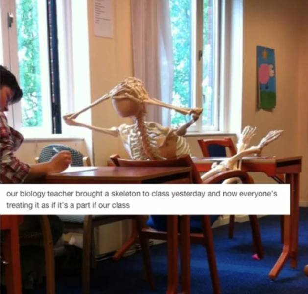 College Years Are Awesome Years (61 pics)