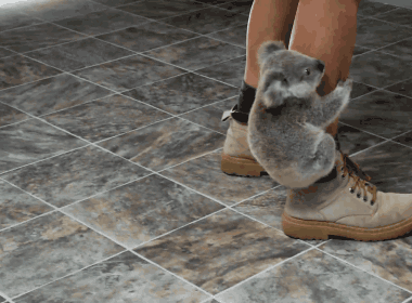 Acid Gifdump, May 07, 2018 (25 gifs)