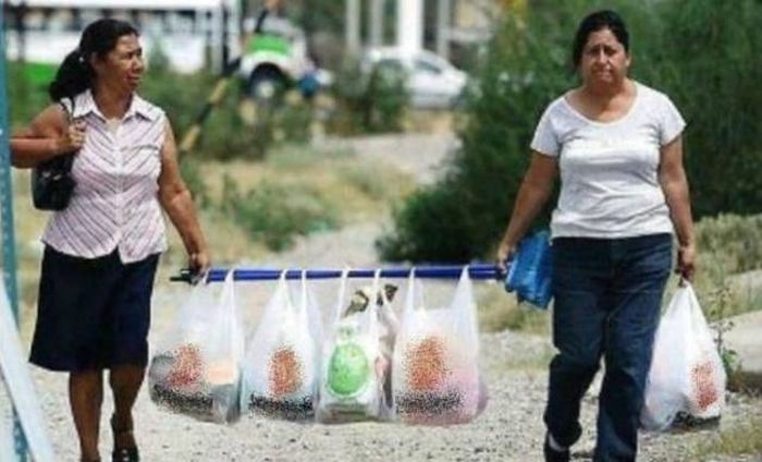 Why All Of Us Are Not So Smart (18 pics)