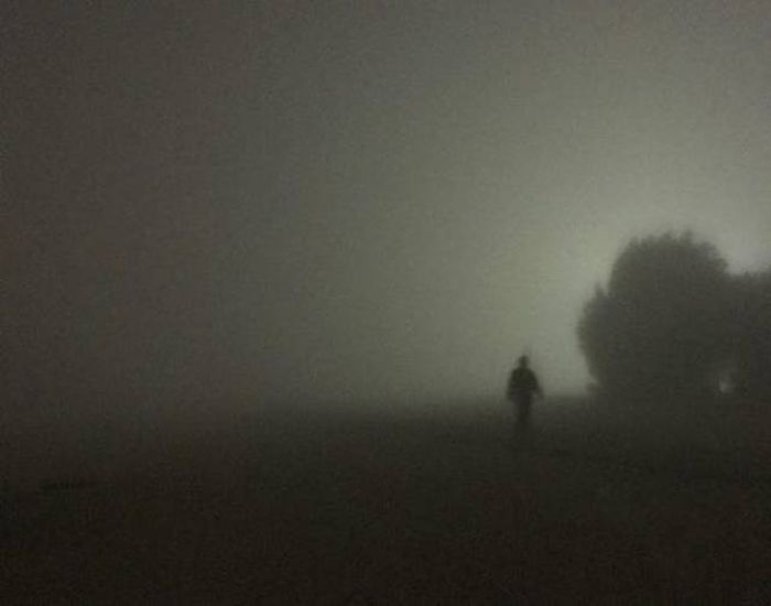 Looks Creepy (38 pics)