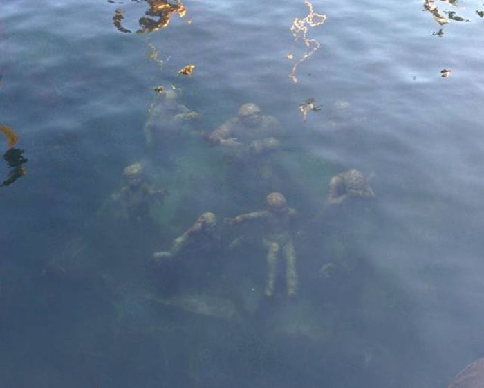 Looks Creepy (38 pics)