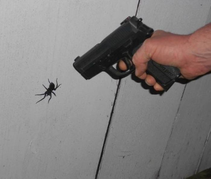 Looks Creepy (38 pics)