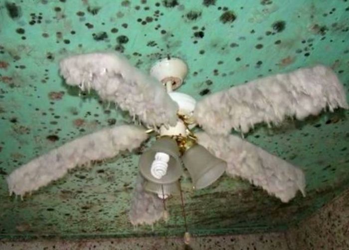 Looks Creepy (38 pics)