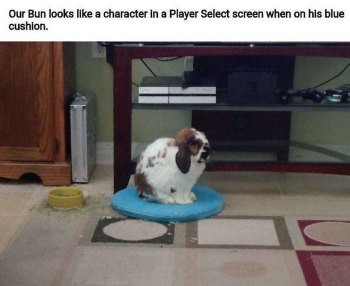 Pictures For Gamers (44 pics)