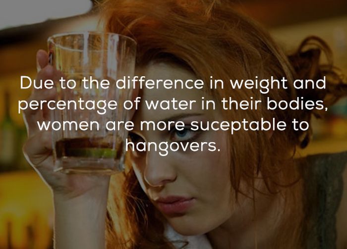 Facts About Hangovers (15 pics)