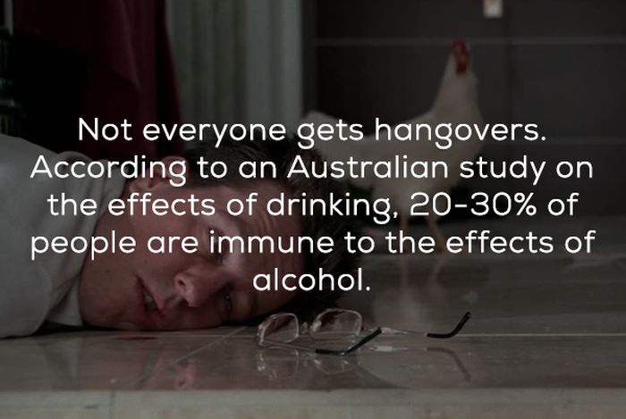 Facts About Hangovers (15 pics)