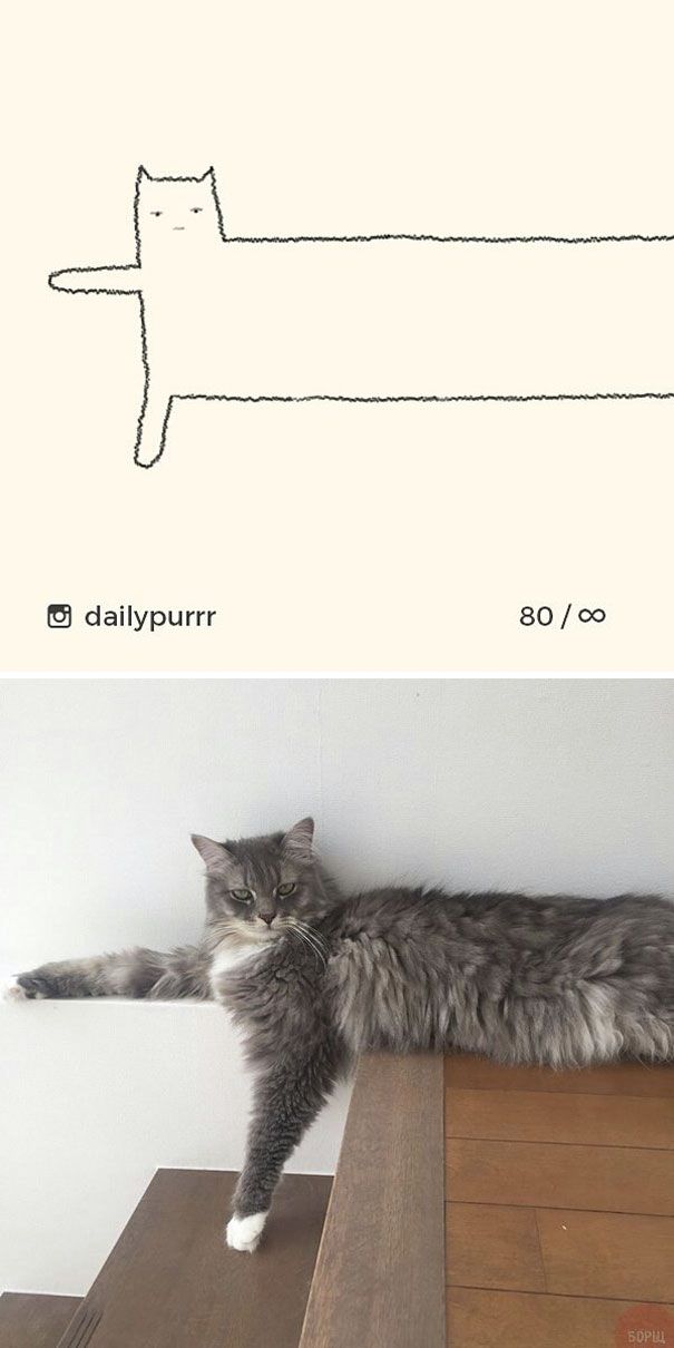 Times ‘Stupid Cat Drawings’ Made Everyone Laugh With How Accurate They Were (25 pics)