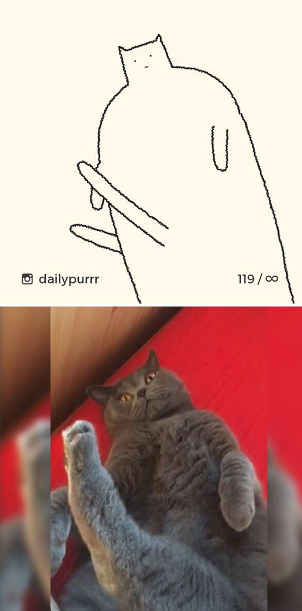 Times ‘Stupid Cat Drawings’ Made Everyone Laugh With How Accurate They Were (25 pics)