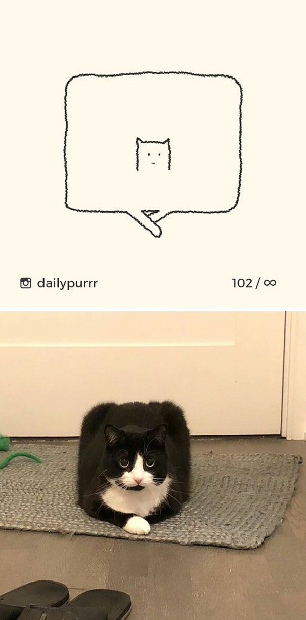 Times ‘Stupid Cat Drawings’ Made Everyone Laugh With How Accurate They Were (25 pics)