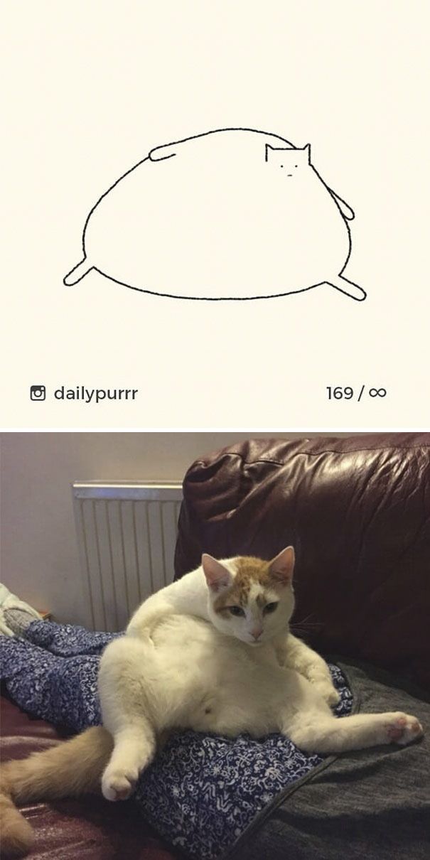 Times ‘Stupid Cat Drawings’ Made Everyone Laugh With How Accurate They Were (25 pics)