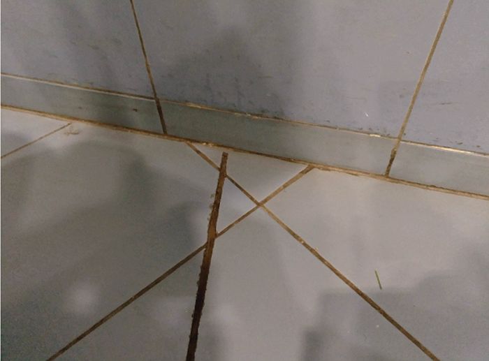 We All Hate It (24 pics)