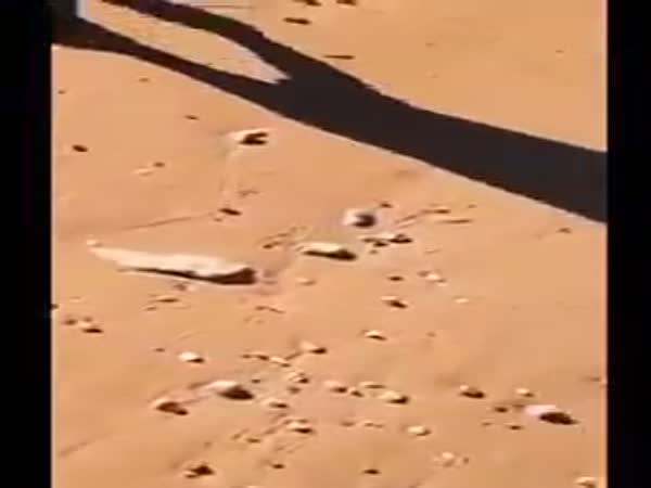 Incredible Footage Shows Hero Pilot Make Emergency Landing on Sidmouth Beach