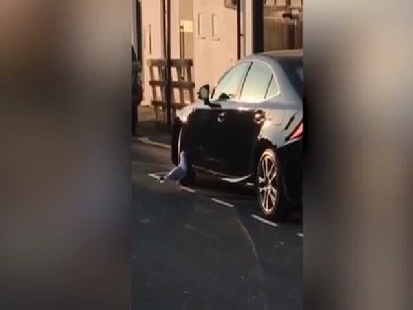 Hilarious Moment Seagull Attacks Own Reflection in Car