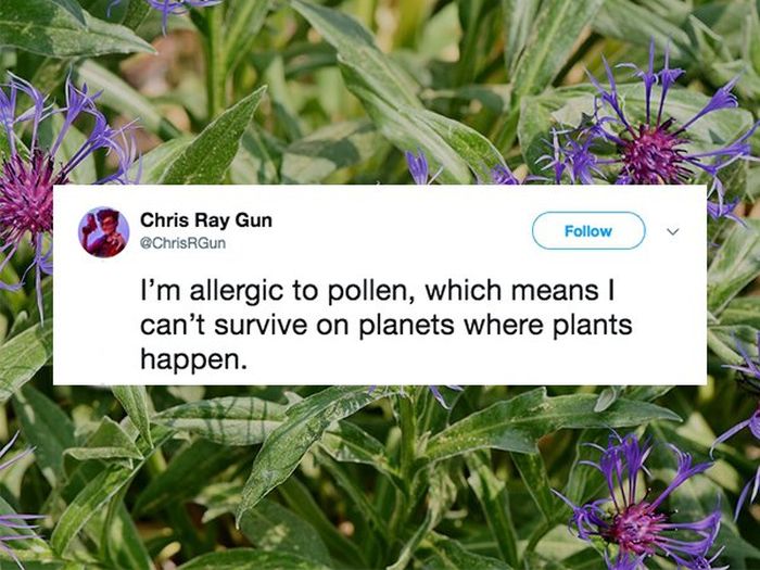 Allergy Season Memes (26 pics)