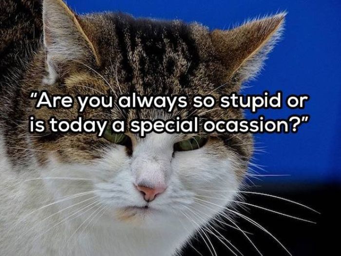 Your Daily Dose Of Sarcasm (21 pics)