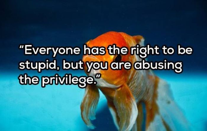 Your Daily Dose Of Sarcasm (21 pics)
