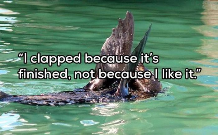 Your Daily Dose Of Sarcasm (21 pics)