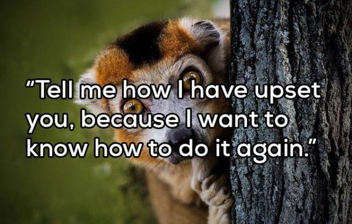 Your Daily Dose Of Sarcasm (21 pics)