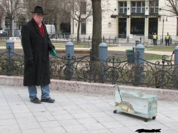 It Just Doesn't Feel Right (19 pics)