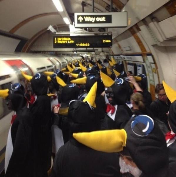 It Just Doesn't Feel Right (19 pics)