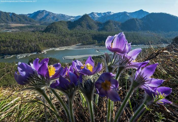 Beautiful Photos Of Russia (56 pics)