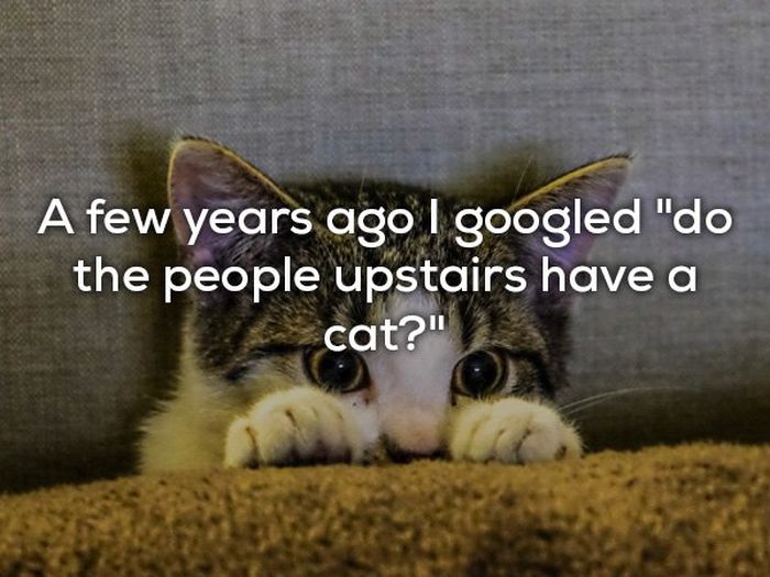 We All Can Be Very Stupid Sometimes (20 pics)