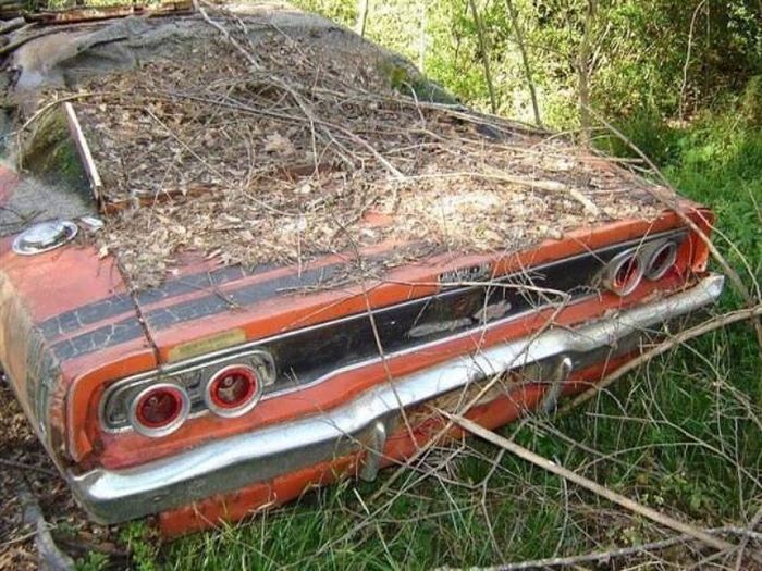 Abandoned Legendary Cars (25 pics)