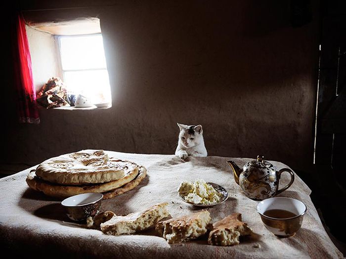 Modern Photos That Resemble Renaissance Paintings (20 pics)