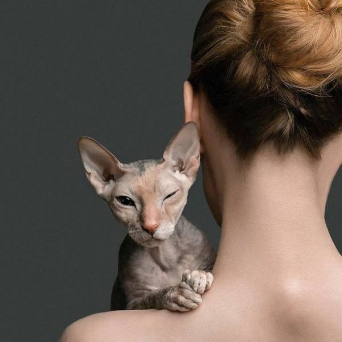 Acid Picdump (102 pics)