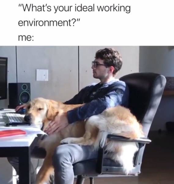 Work Memes And Fails (51 pics)