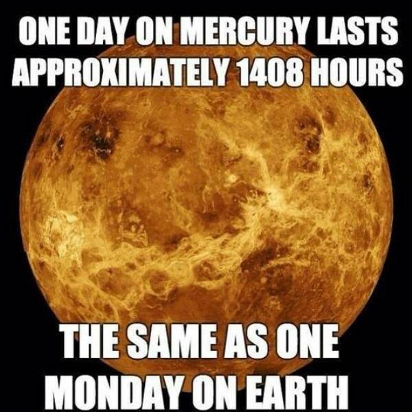 Work Memes And Fails (51 pics)