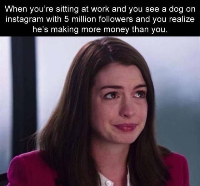 Work Memes And Fails (51 pics)