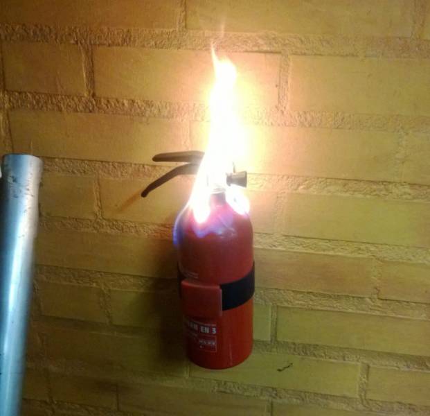 Isn't It Ironic (42 pics)