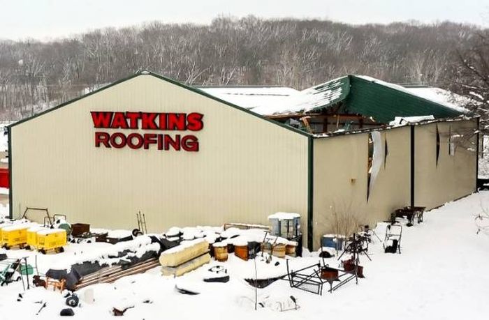 Isn't It Ironic (42 pics)