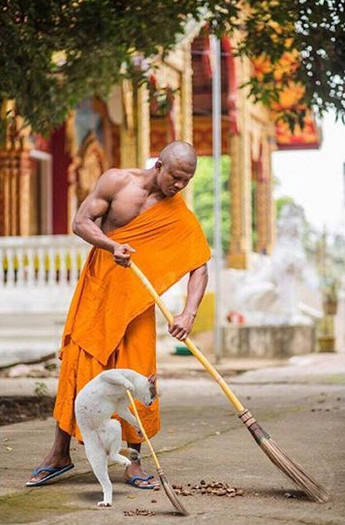 Funny Photoshops (38 pics)