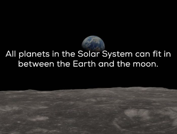 Unbelievable Facts (22 pics)