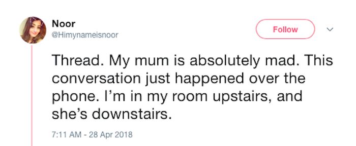 Mom and Daughter Go On A Hilarious Quest For Some Secret Parrots (33 pics)