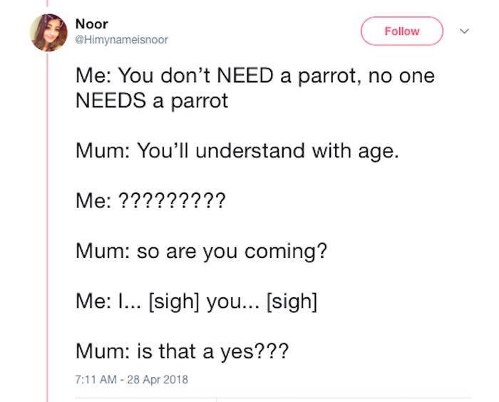 Mom and Daughter Go On A Hilarious Quest For Some Secret Parrots (33 pics)