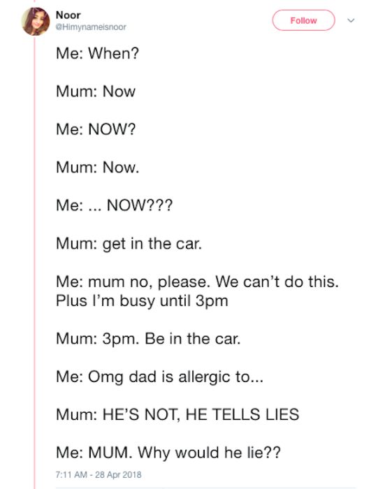 Mom and Daughter Go On A Hilarious Quest For Some Secret Parrots (33 pics)