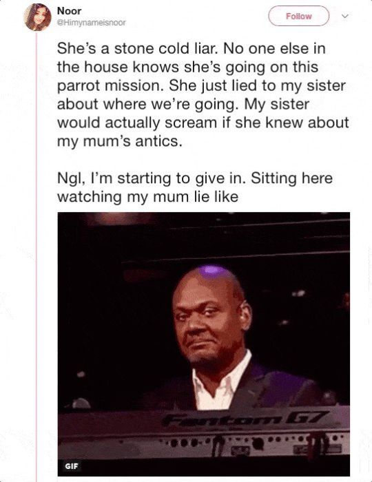 Mom and Daughter Go On A Hilarious Quest For Some Secret Parrots (33 pics)